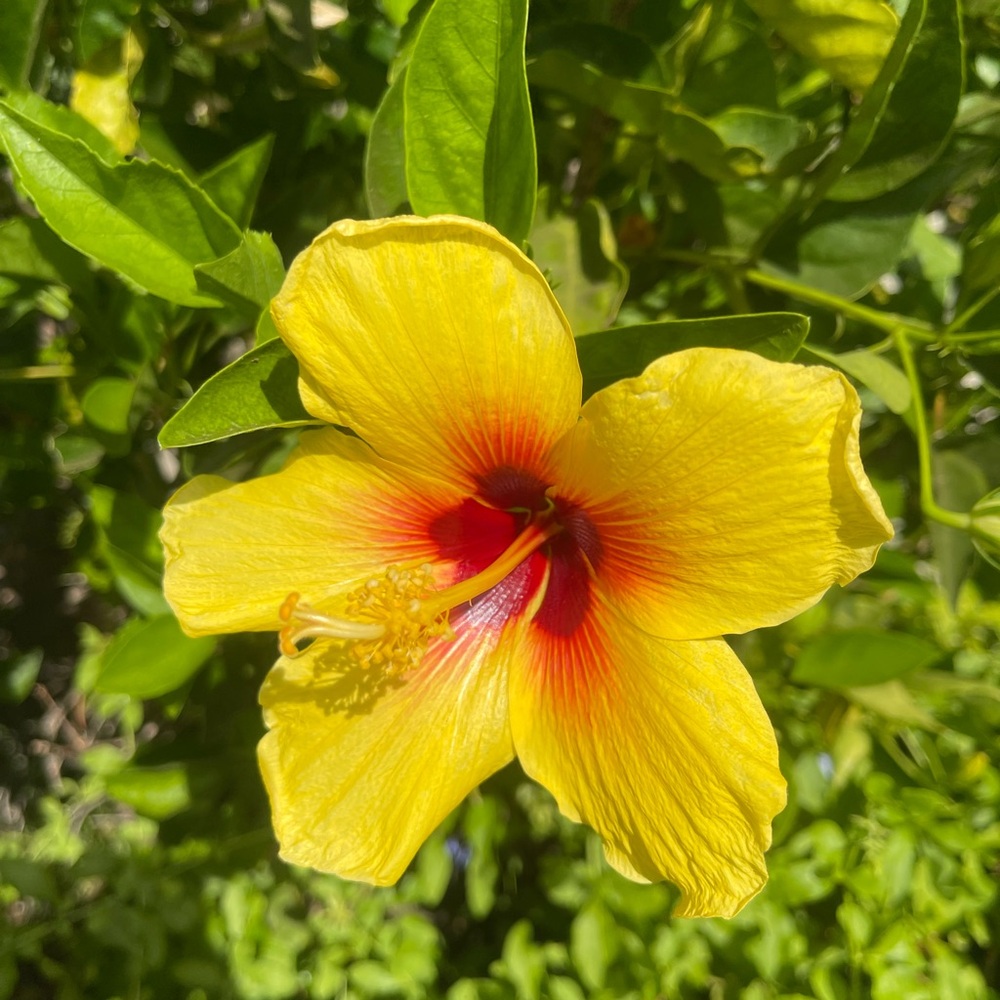 Meet your Posher, Leslie